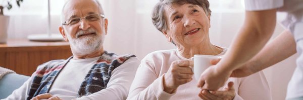 Comment créer un programme de soins adapté pour un vieillard nocturne en captivité ?