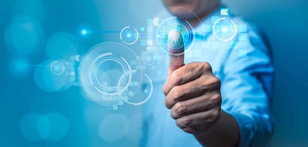 Comment reconnaître les différents chants d'oiseaux en forêt ?