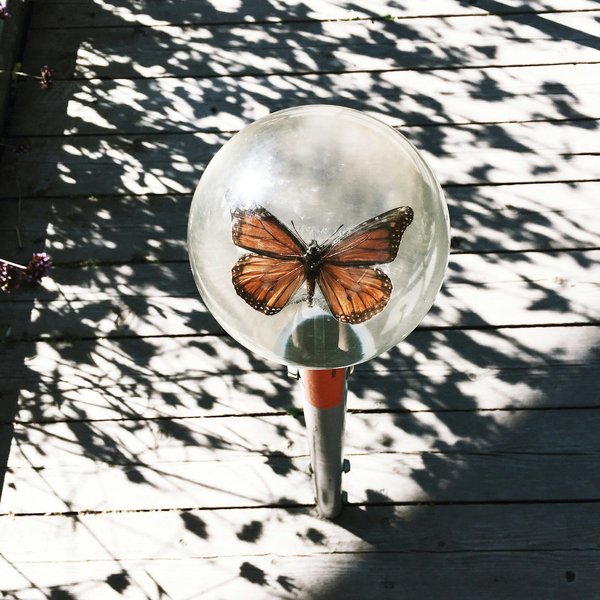 Comment construire un hôtel à insectes dans son jardin ?